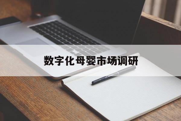 阿图什市数字化母婴市场调研(数字化母婴市场调研报告)